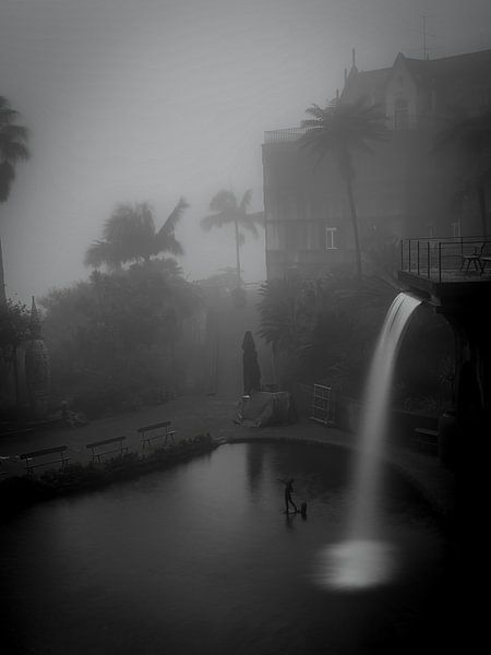 Jardin tropical Monte Palace par Dirk Rüter