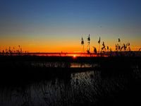 Lever de soleil féerique