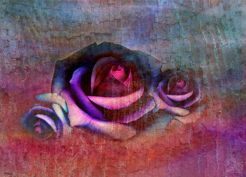 three roses by Claudia Gründler