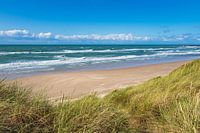 Dune et plage près de Hirtshals au Danemark