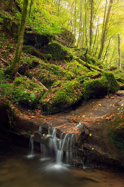 Wasserfall im Herbst in der Eifel, Deutschland. von Rob Christiaans