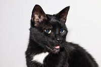 Not the prettiest, but the sweetest!