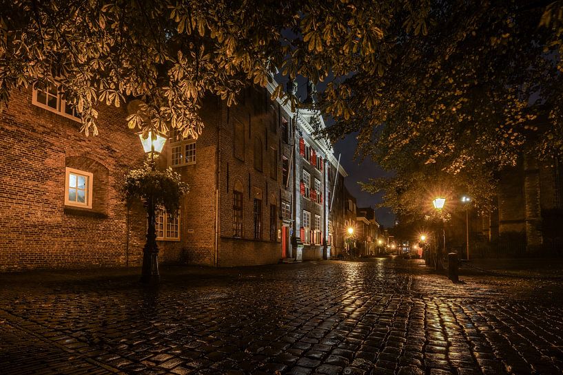 Pieterskerkhof in Leiden by Dirk van Egmond