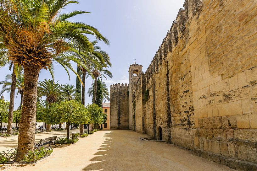 Le palais de l'Alcazar à Cordoue, en Andalousie par Fotografiecor .nl