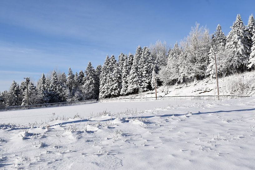 Le terrain des loisirs en hiver par Claude Laprise