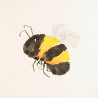 Bumblebee 1