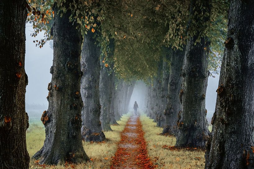 Among Friends par Lars van de Goor