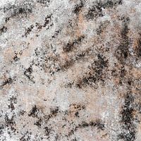 Quadratischer Tiger Abstraktes Kunstwerk