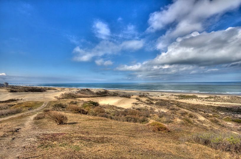 Dutch Coast by Jan Kranendonk
