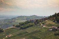 Colline avec des vignes, Piémont, Italie