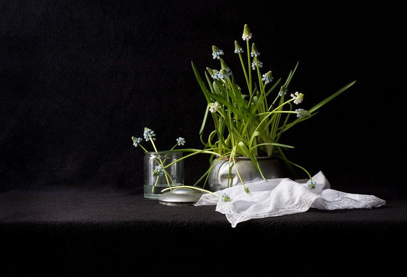 Blauw druifje von Annemiek Gijsbertsen