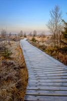 Chemin de promenade en bois dans les High Fens