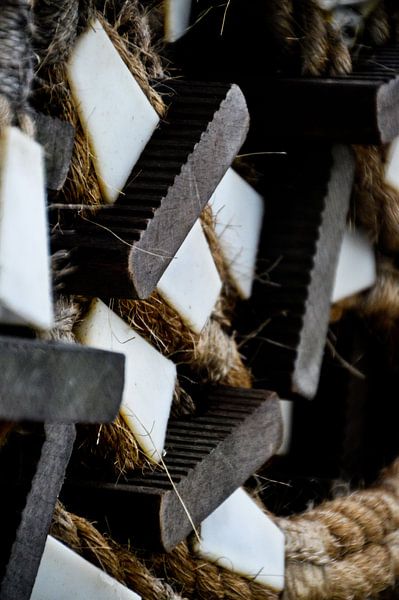 Echelle de corde sur le ss Rotterdam par Marieke van der Hoek-Vijfvinkel