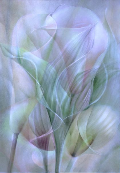 White synfony by Annette Schmucker
