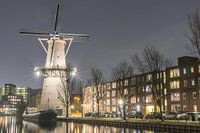 Schiedam - Molen de Palmboom