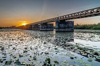 Sonnenuntergang an der Moerputtense Brücke