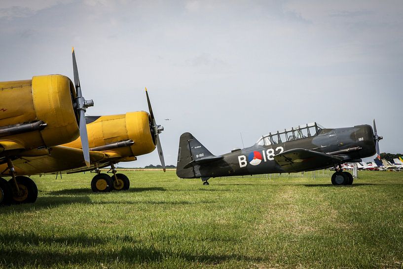 Harvard von Jasper Scheffers