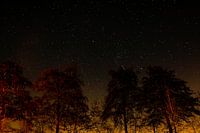 Orangefarbene Sternennacht in Langbroek