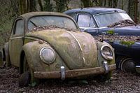 Abandoned Volkswagen Beetle