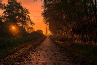 Tower during sunrise made from a path