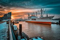 Hamburg - Cap San Diego & Elbphilharmonie