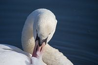 Momentje voor mezelf