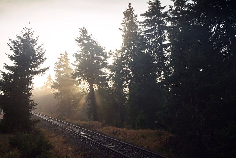 Sonennlicht von Alena Holtz