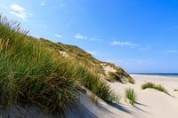 Terschelling - Duinenrij Noordzeestrand
