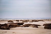 Terschelling ameland amelandergat