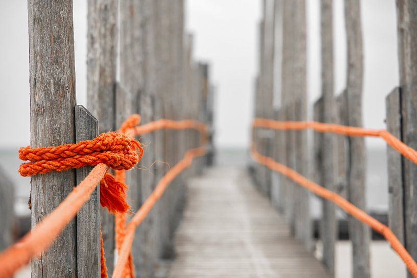 Texel, Anlegestelle für das Schiff Friendship (in Farbe). von Ron van der Stappen