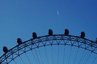 Flying by London Eye
