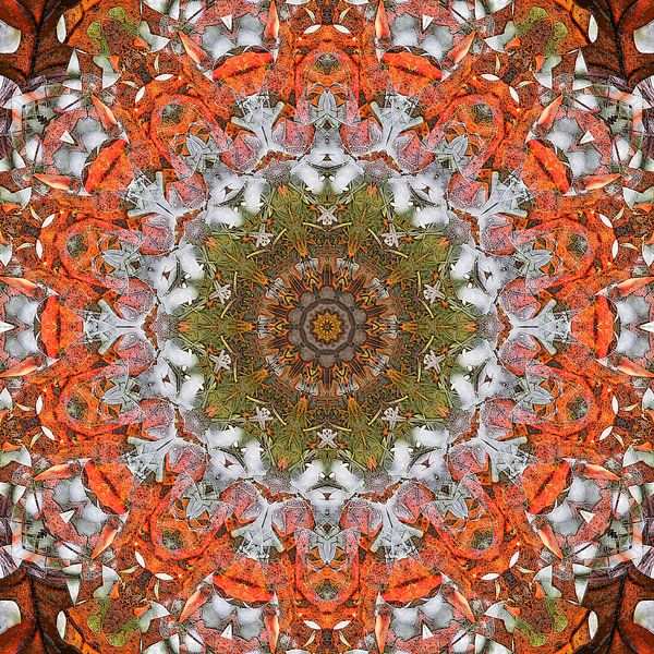 Oak Leaves par Frans Blok - des photos, de l'art et des autres décorations murales