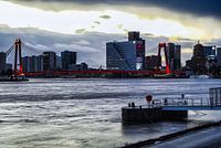 Willemsbrug Rotterdam