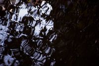 Reflectie in het water