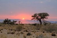 Sonnenaufgang/ Sonnenaufgang