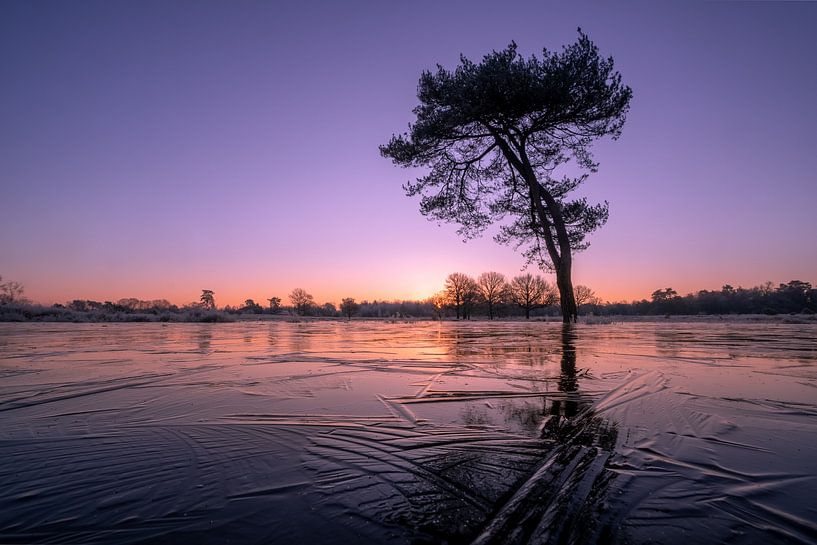 La magie de l'hiver par Moetwil en van Dijk - Fotografie