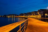 Flaque de roseau en bois