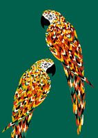 Parrots