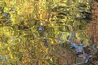 Herbstfarben im Wasser