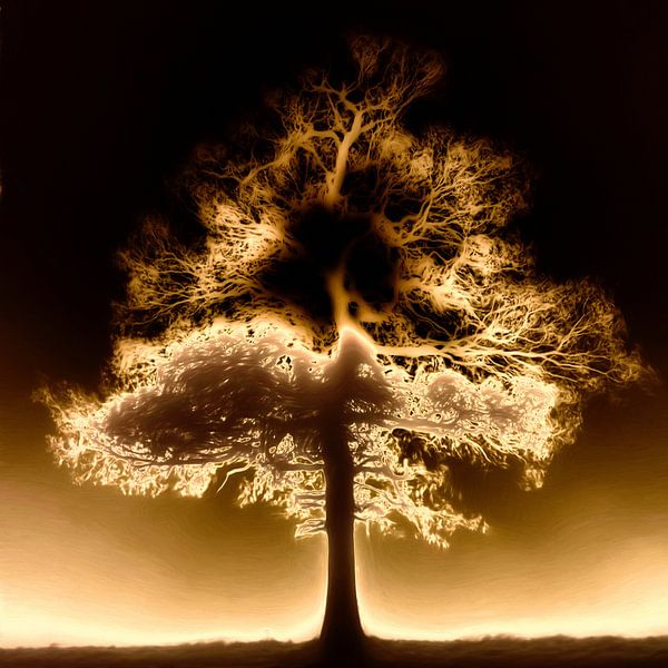 Un arbre solitaire dans le brouillard par Maurice Dawson