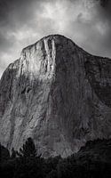 El Capitan seen from the meadow (Yosemite)