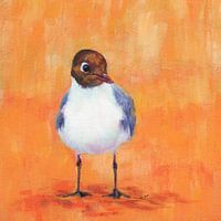 Lachmöwe am Sandstrand