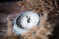 Silencieux " Time will tell"