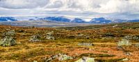 Gletscherblick - Hardangervidda-Nationalpark