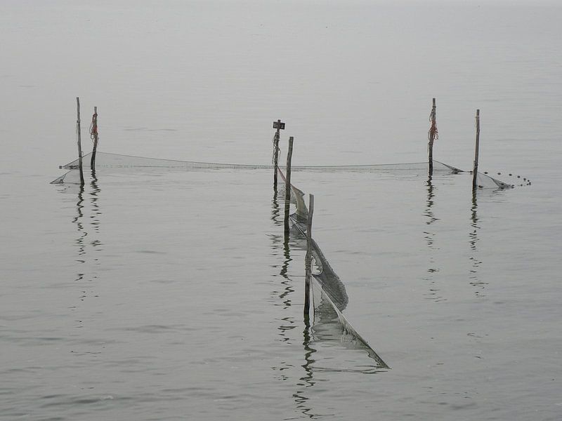 Catched by vikings meisje