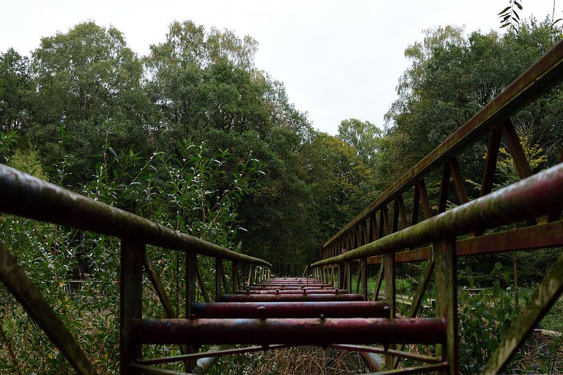 Un pont perdu par Gerard de Zwaan