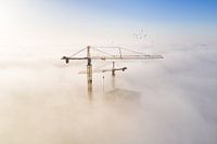 Construction cranes in the Mist