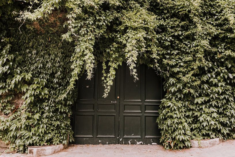 Botanische Haustür | Paris von Roanna Fotografie