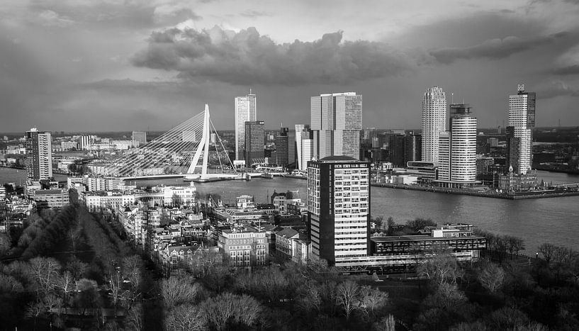 Zicht op Rotterdam by Peter Hooijmeijer