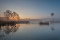 Sunrise at the Hatertse vennen